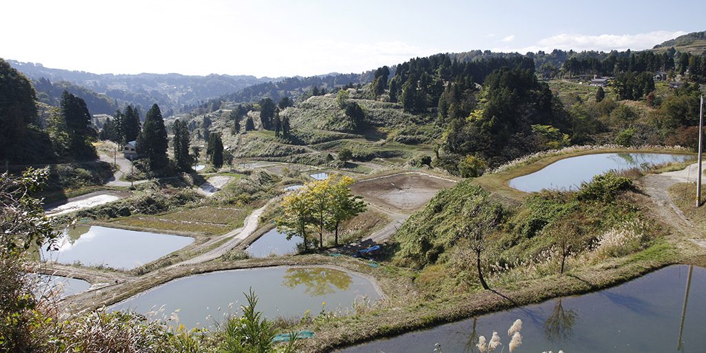 mudpond_ottobre