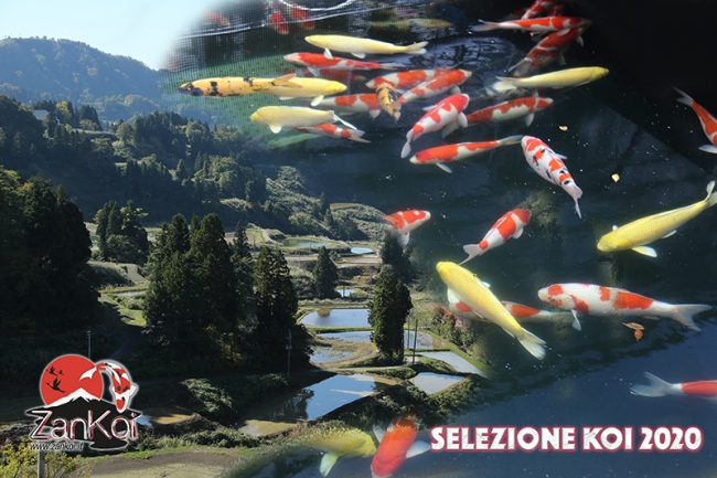 Selezione2020_ridim