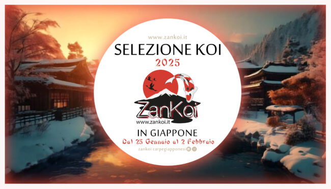 2025_selezione_zankoi