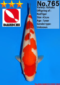 KOHAKU
