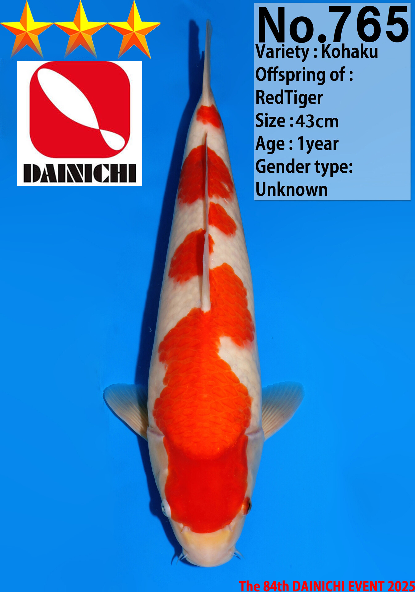 KOHAKU